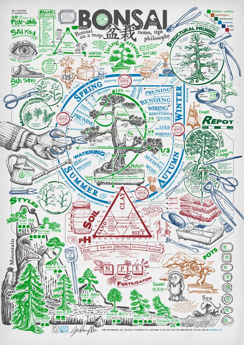 bonsai map infographic
