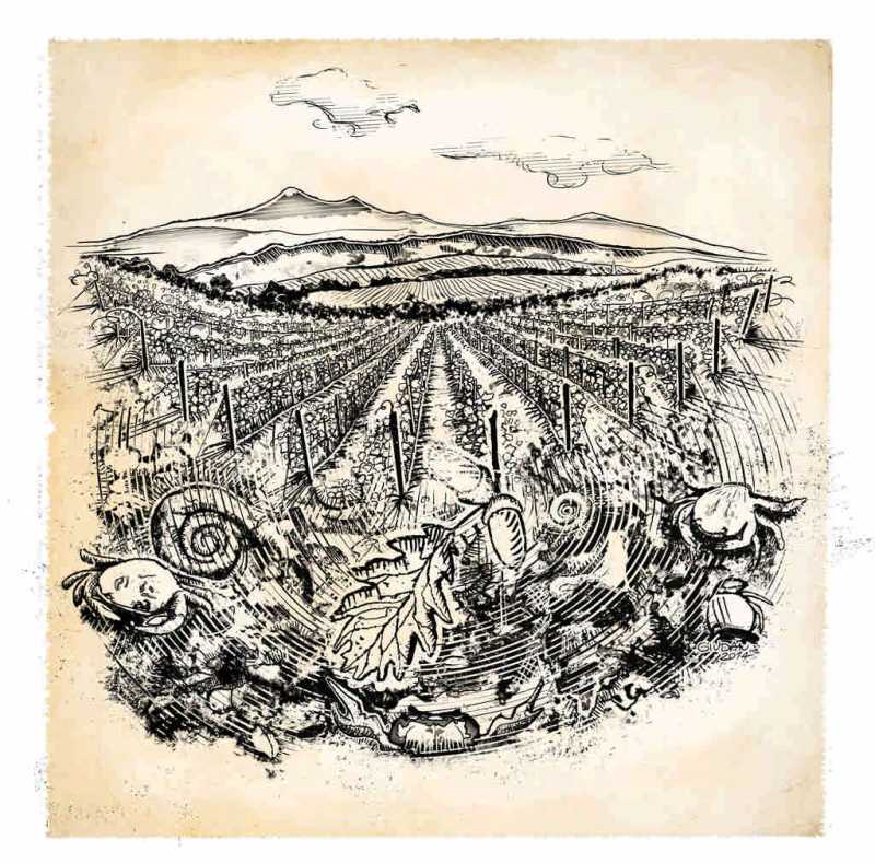 Amiata, antica terra di fossili e vulcani